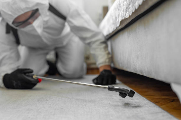 Professional Emergency Pest Control technician working in East Greenville, PA