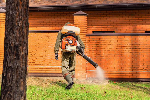 Trusted Termite Control service in East Greenville, PA - Nex Pest Control